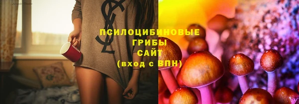 эйфоретик Костерёво