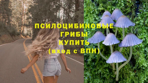 мдма Корсаков