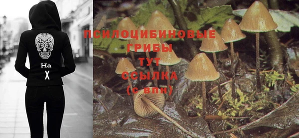 мдма Корсаков