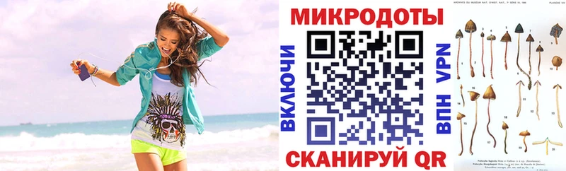 Галлюциногенные грибы Psilocybine cubensis  Рыльск 