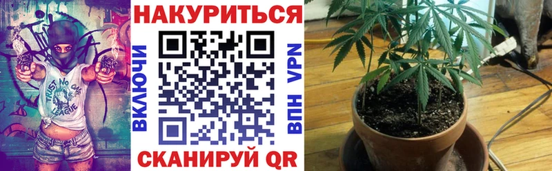 blacksprut ссылка  Рыльск  Канабис семена 